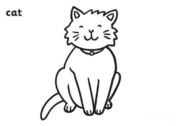 cat kindergarten coloring page