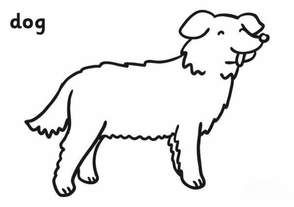 dog kindergarten coloring page