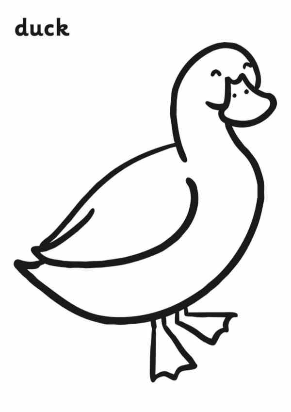duck kindergarten coloring page