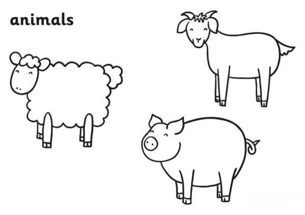 farm animals kindergarten coloring page